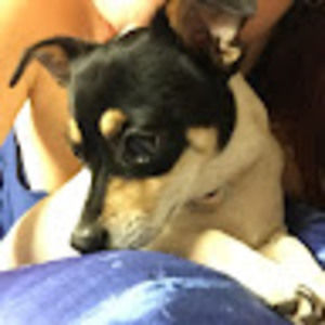 Meet your Posher, Kyrah